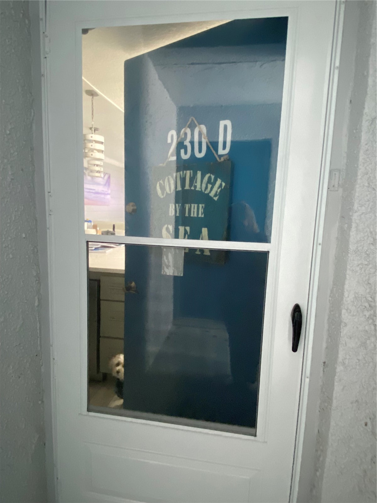 230 MEDALLION BOULEVARD D
