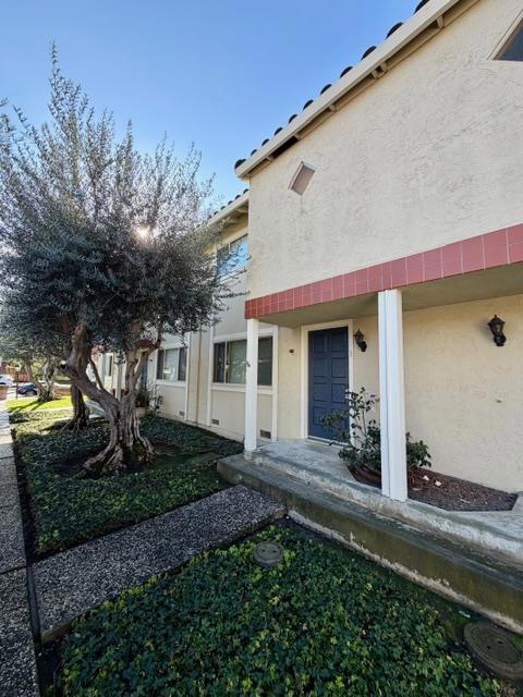 436 Sierra Vista Avenue 3