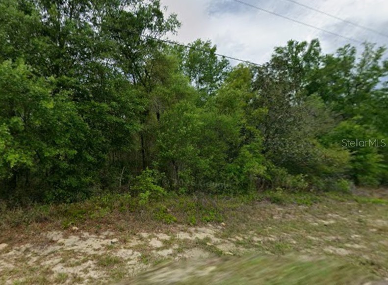 9223 N JUSTA DRIVE