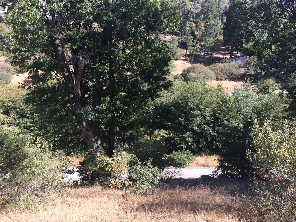 29776 Hook Creek