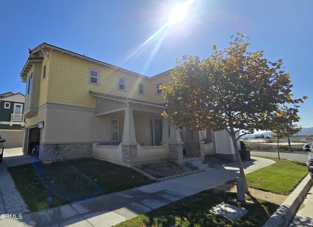 242 Hydrangea Street