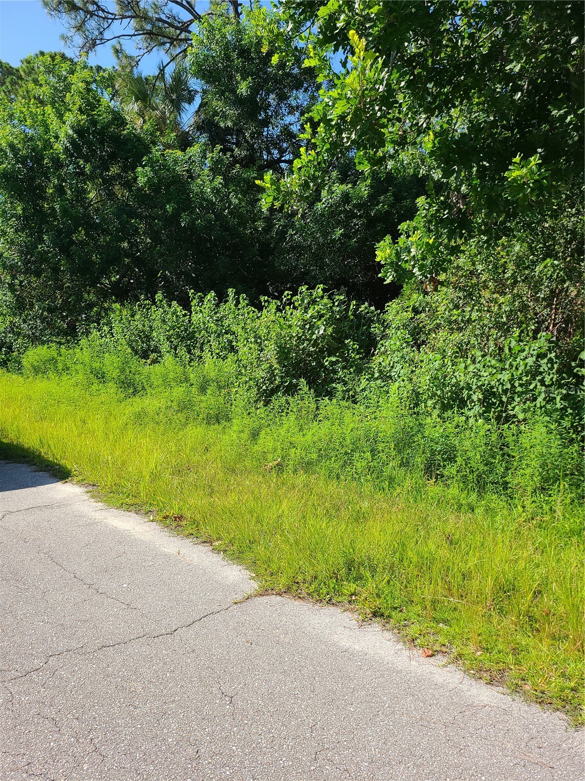 CORVETTE LANE