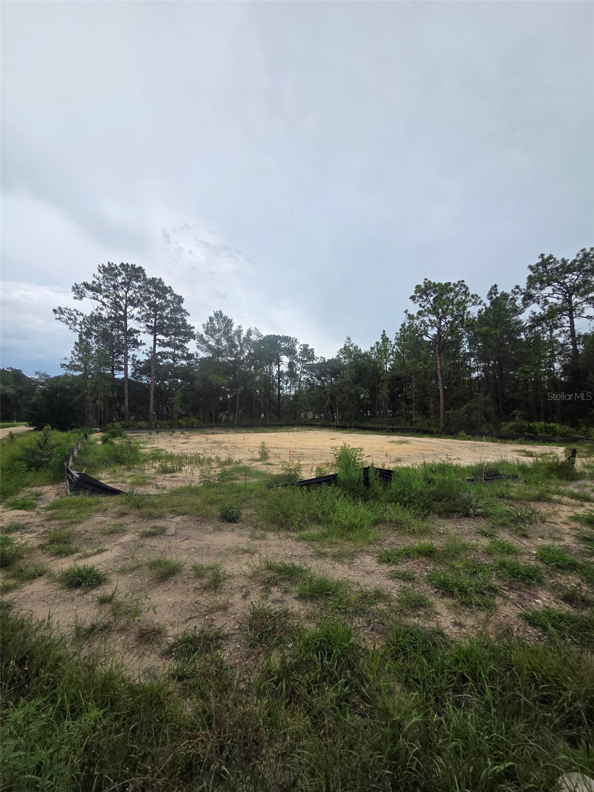15326 MOTTLED OWL ROAD