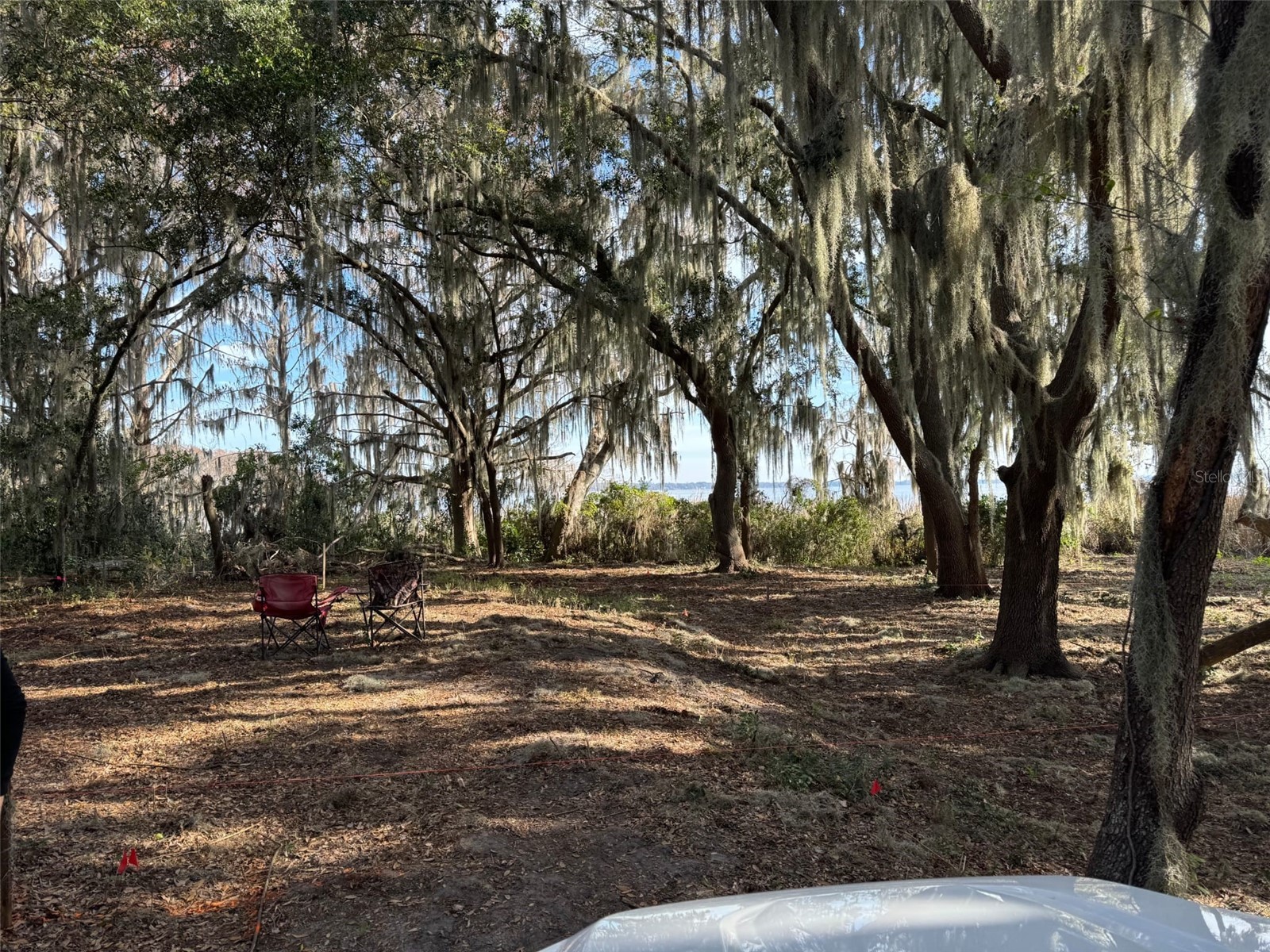 OCKLAWAHA DRIVE