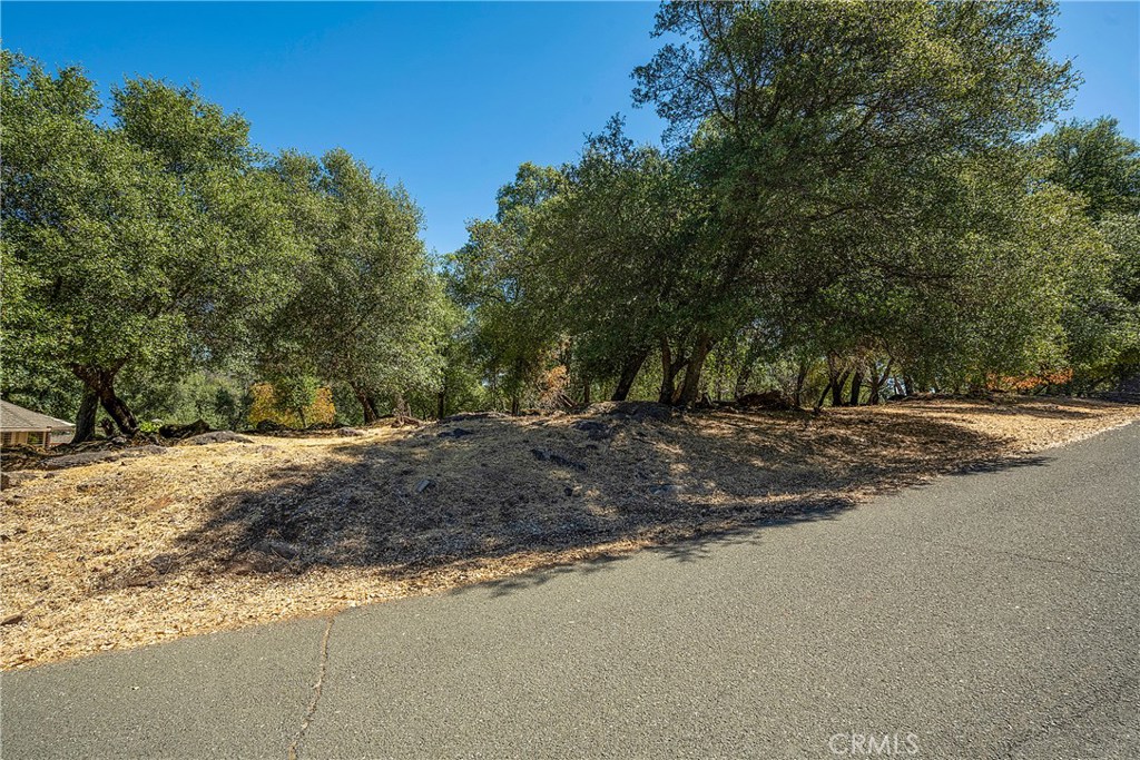 18876 Timber Point Road