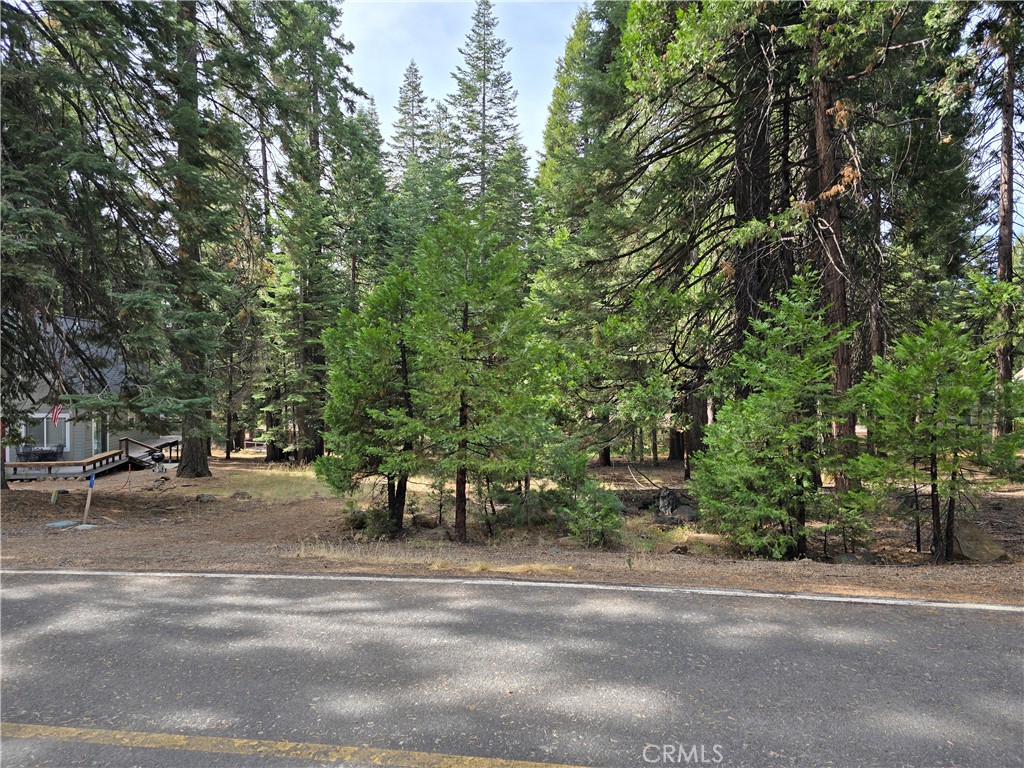 615 Clifford Trail