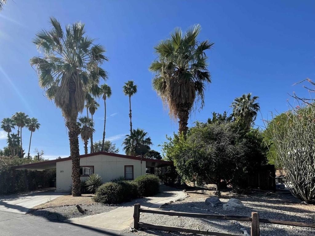 1010 Palm Canyon Dr 183