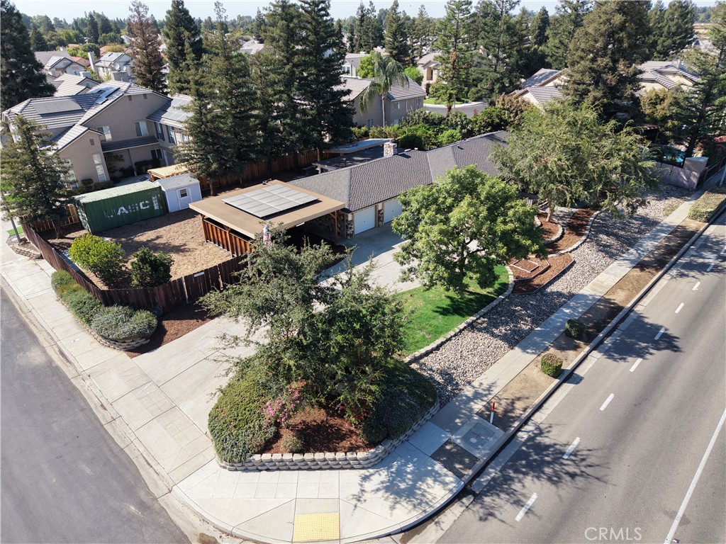 1391 Birch