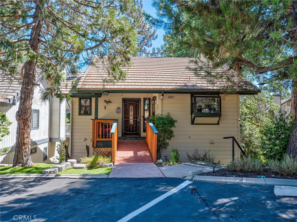 40593 Saddleback