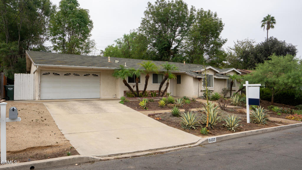 607 Calle Tulipan