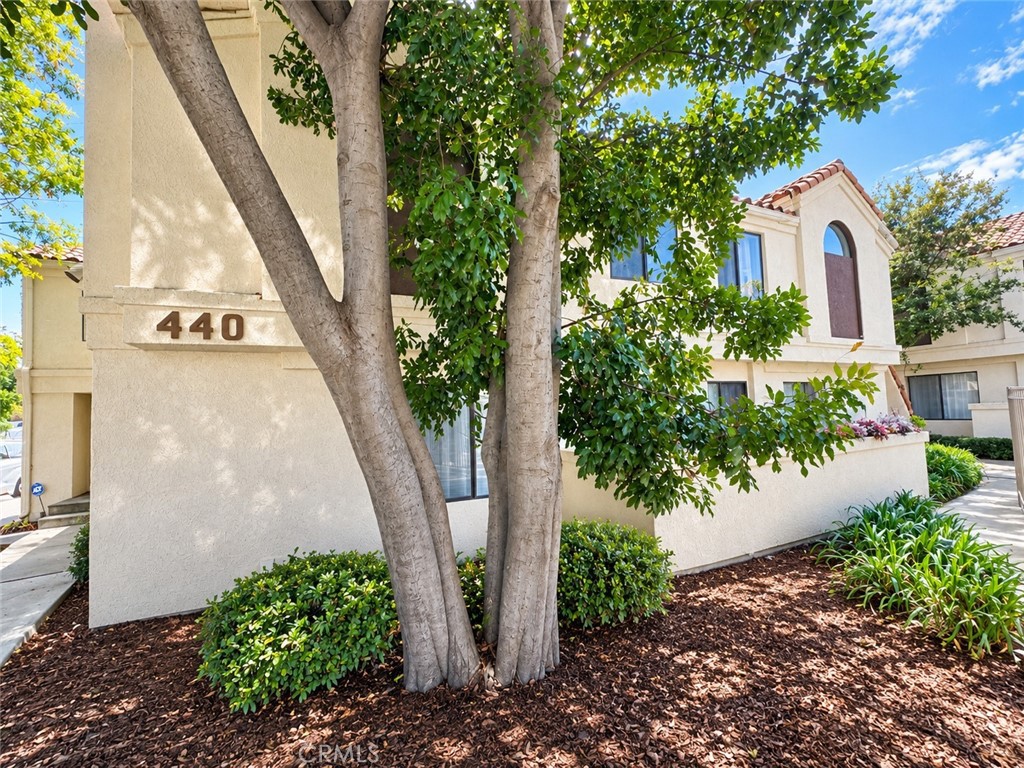 440 Anderwood Court 20