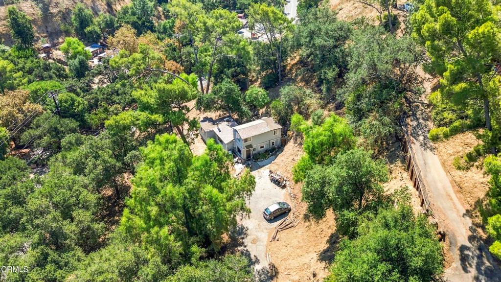 12211 Forest Trail
