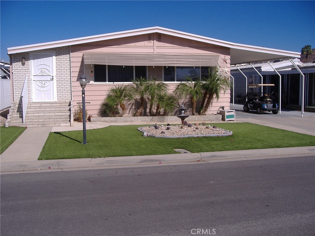 26060 Queen Palm