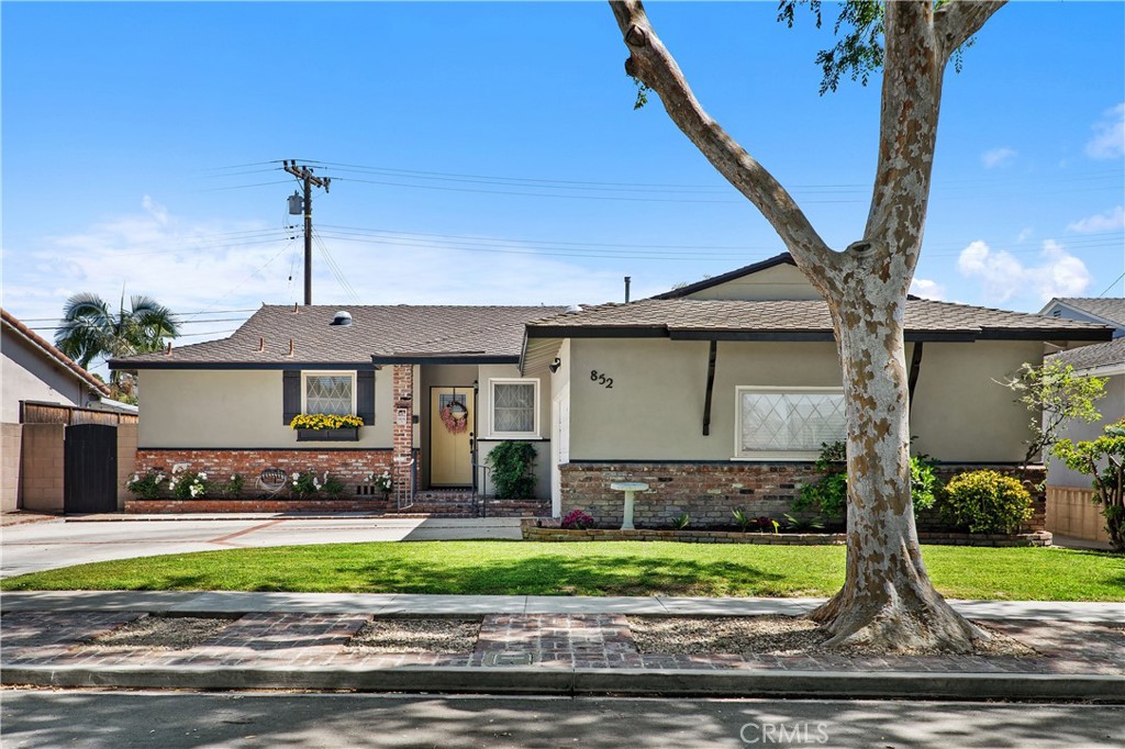 852 Kallin Avenue