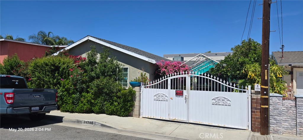 24746 Spruce