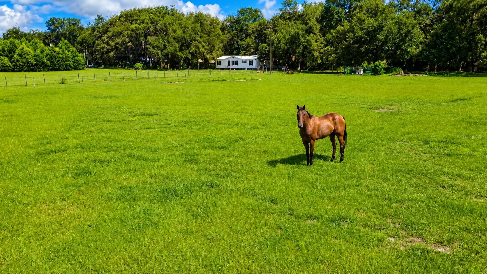 14240 SR 471, Webster, FL, 33597 — assumable FHA mortgage at 6.53%